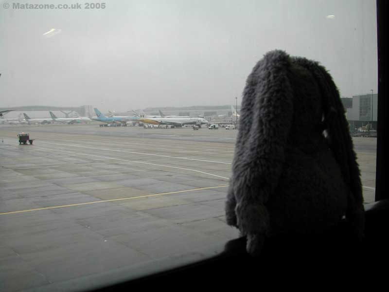 Tiny planes and a giant bunny